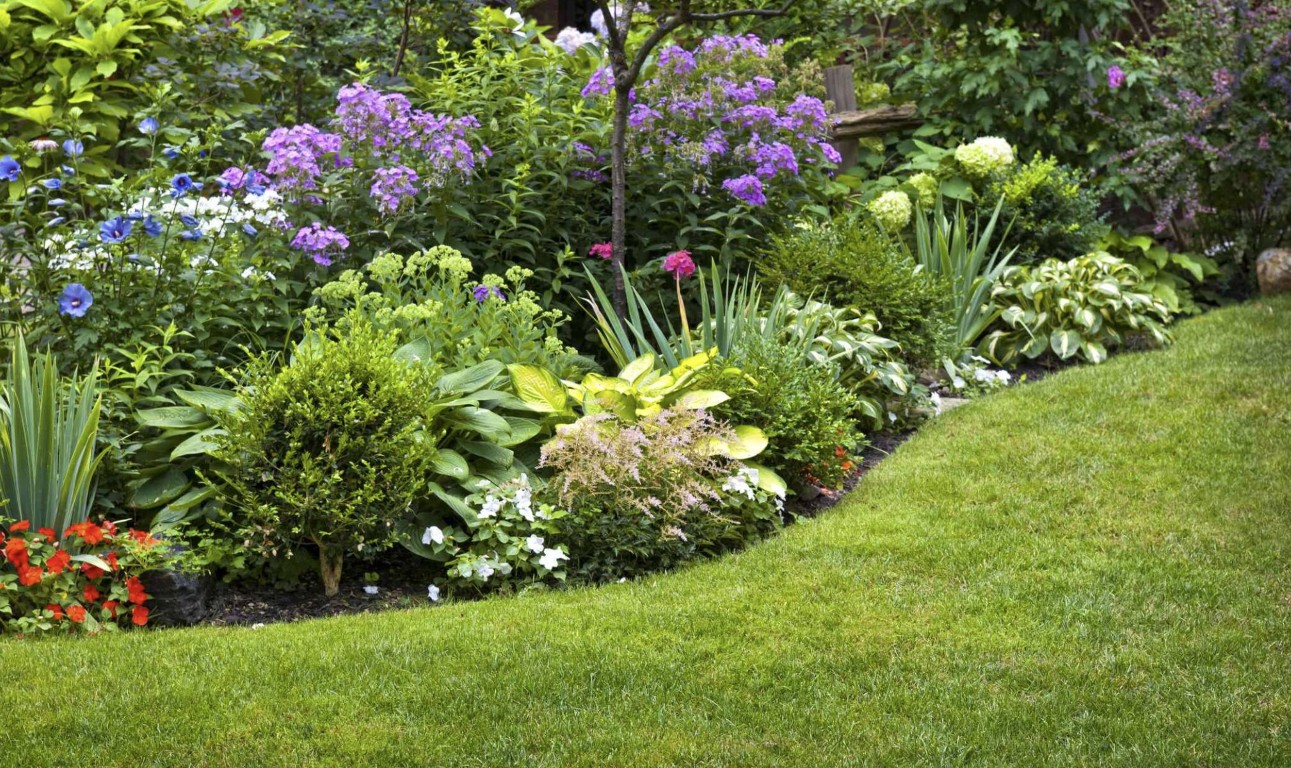 Professional landscaping services in Brookhaven, GA